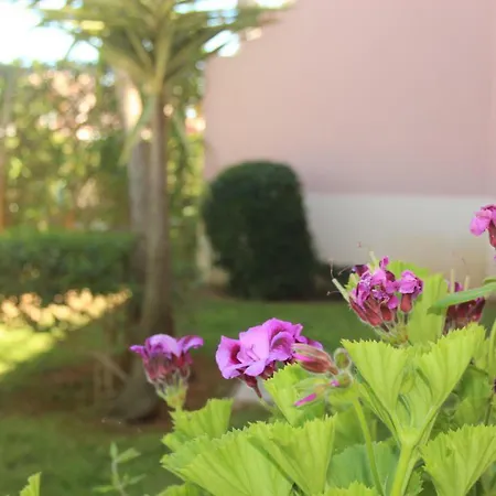 Sweet -oasis Parque Lejlighed *